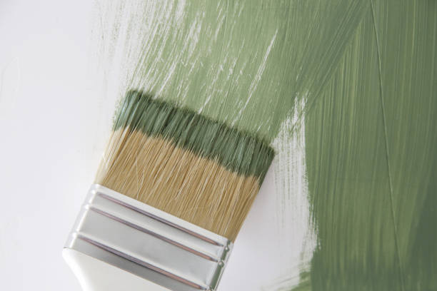  Fillmore, UT Mold Removal Pros