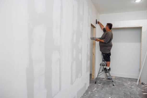 Best Environmental Consulting for Mold Prevention  in Fillmore, UT